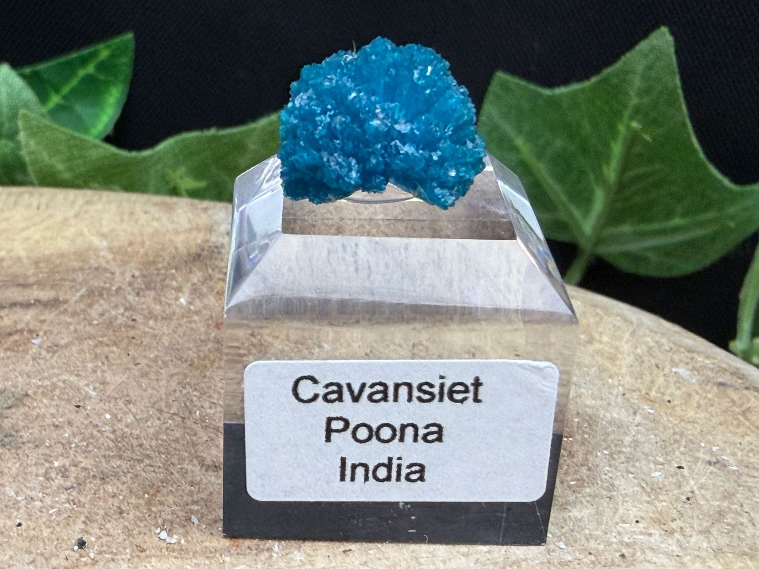 Cavansiet