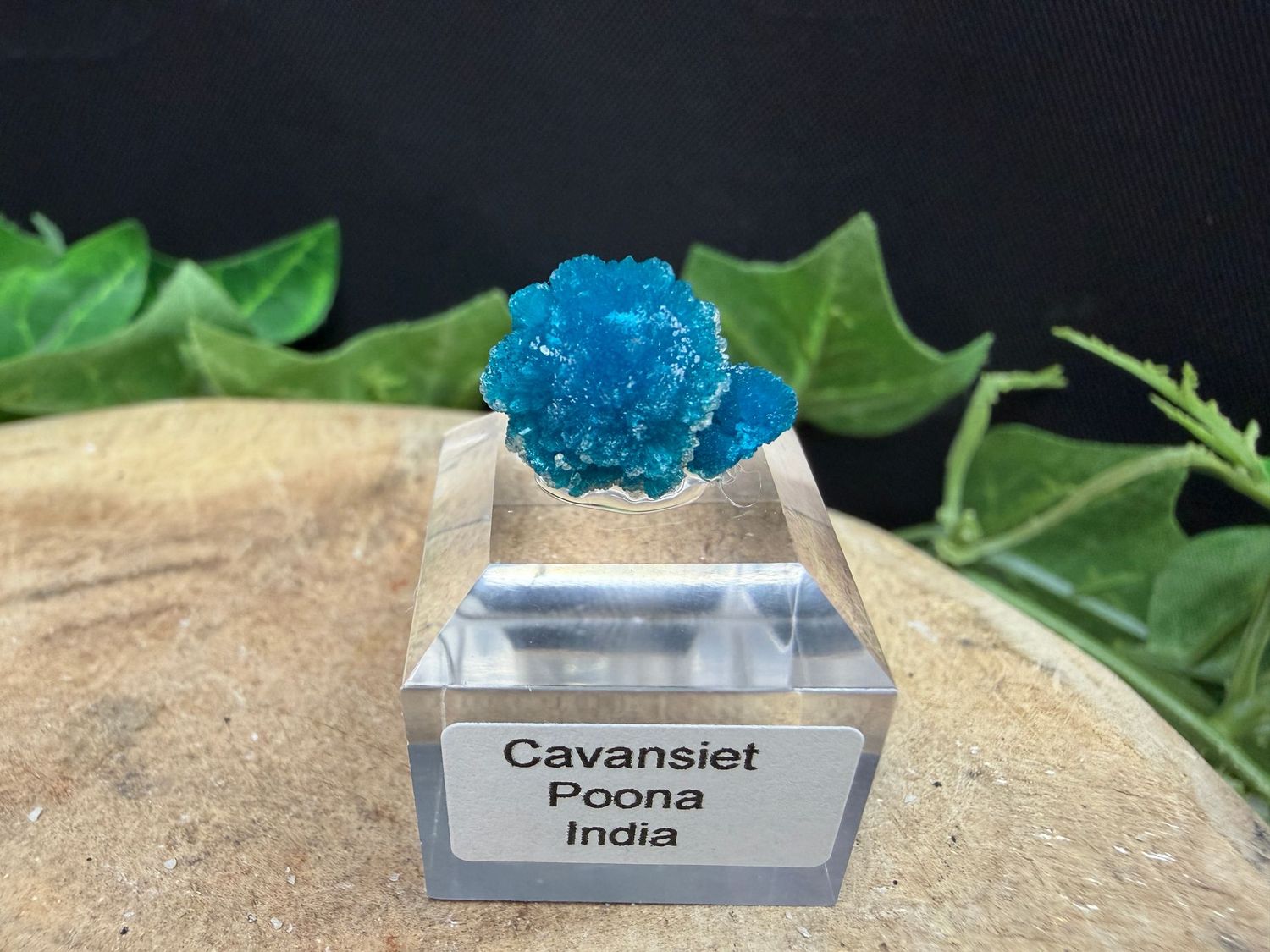 Cavansiet