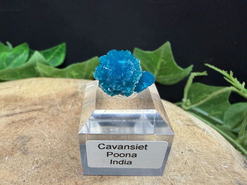Cavansiet