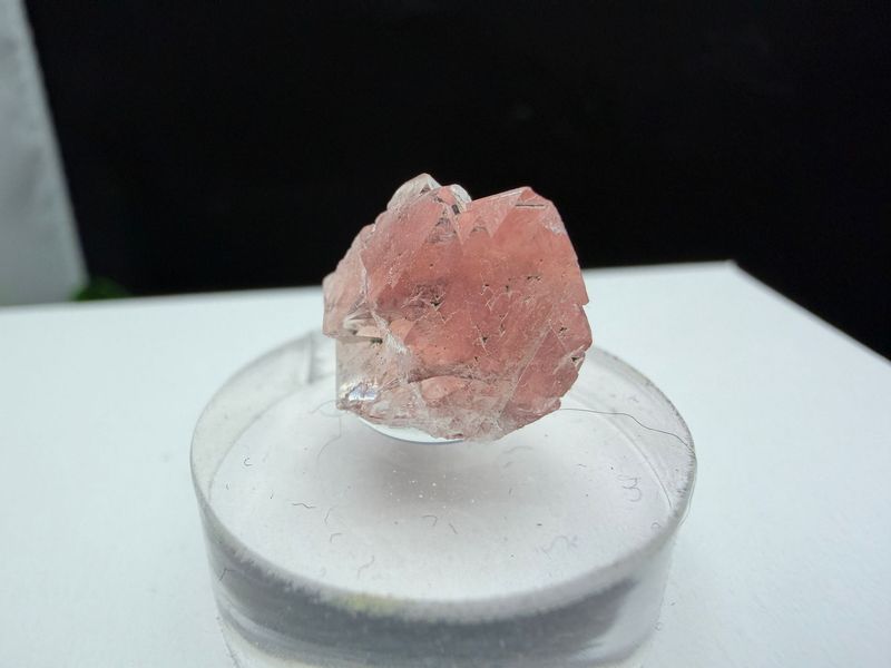 Roze Fluoriet Roze Fluoriet