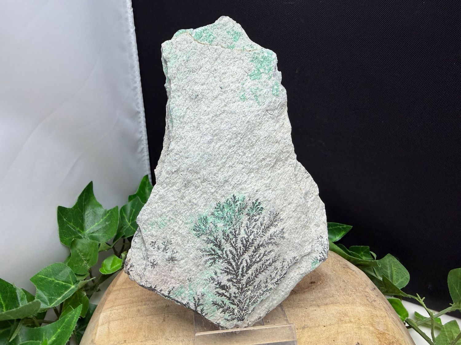 Dendriet