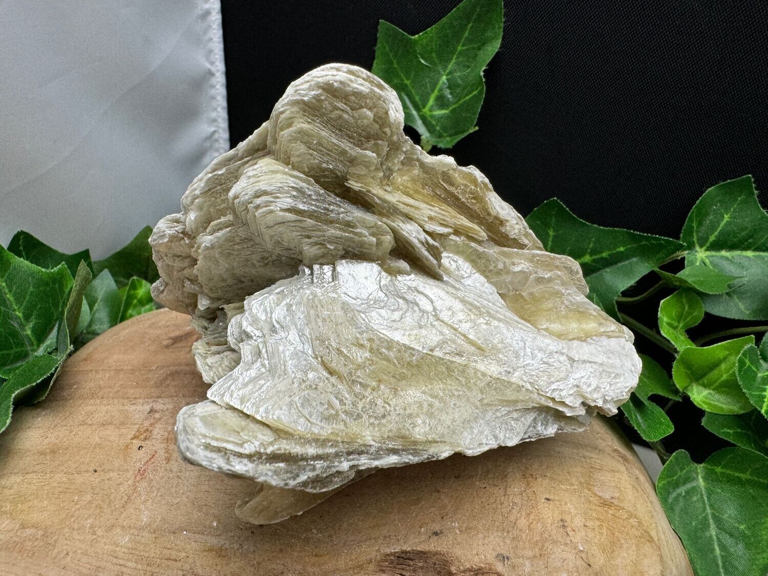 Grote gele Mica