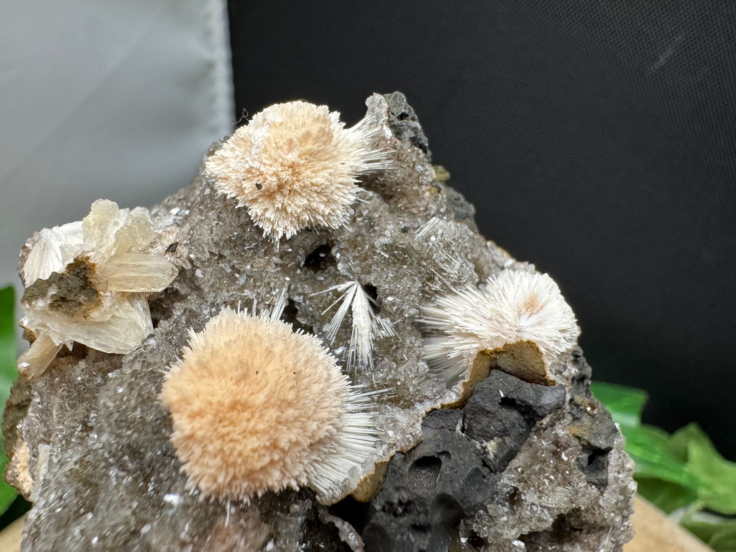 Thomsoniet op zwarte Chalcedoon Thomsoniet op zwarte Chalcedoon
