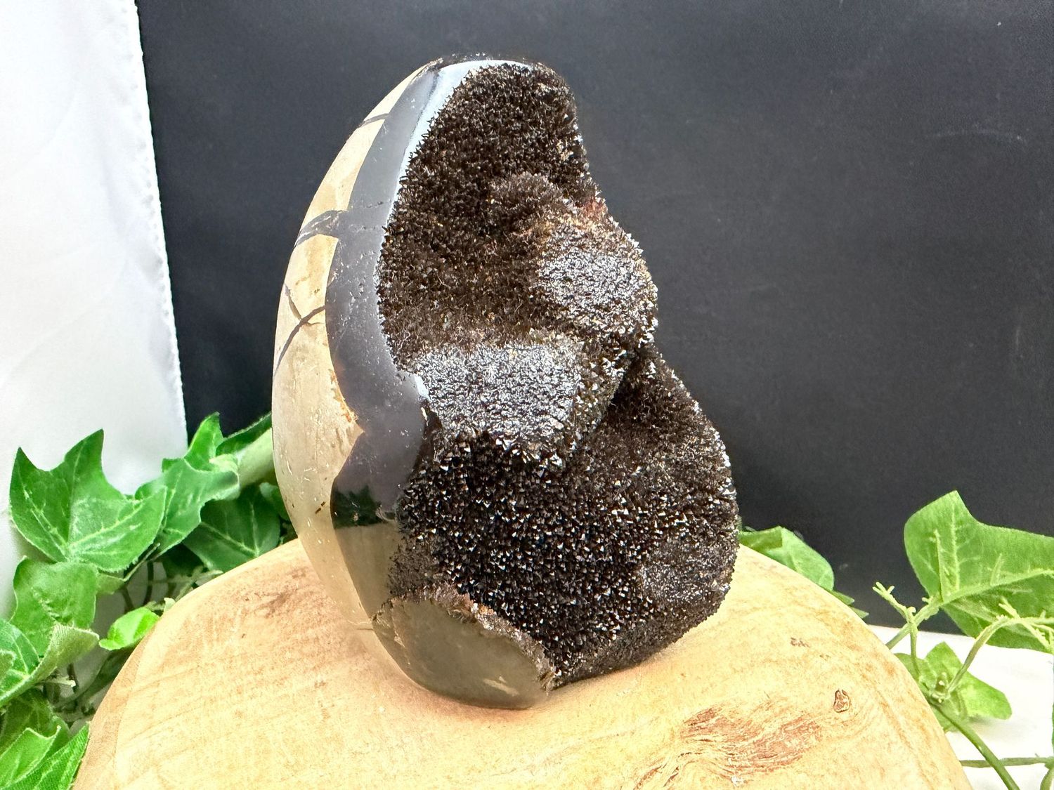 Septarie Septarie