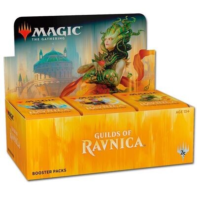 Magic: Guilds of Ravnica - Draft Booster Display