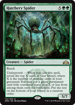 Hatchery Spider (GRN) - EN