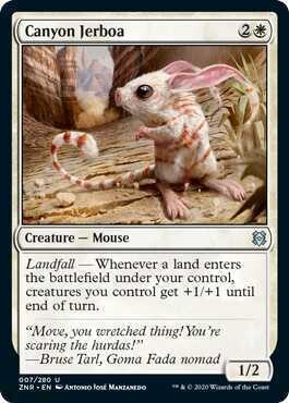 Canyon Jerboa - EN