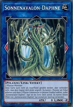 Sonnenavalon Daphne (LIOV)