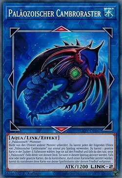 Palozoischer Cambroraster (LIOV)