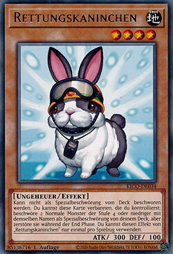 Rettungskaninchen (Rare-KICO)