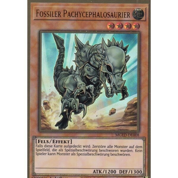 Fossiler Pachycephalosaurier (GOLD RARE-MGED)