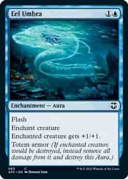 Eel Umbra - EN