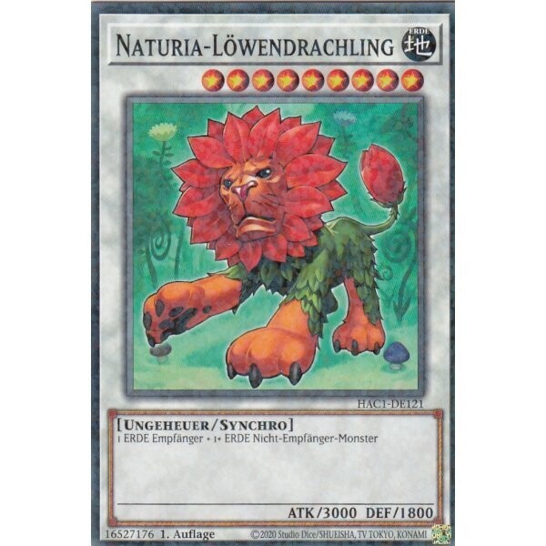 Naturia-Löwendrachling (HAC1)