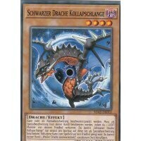 Schwarzer Drache Kollapschlange (SDAZ)