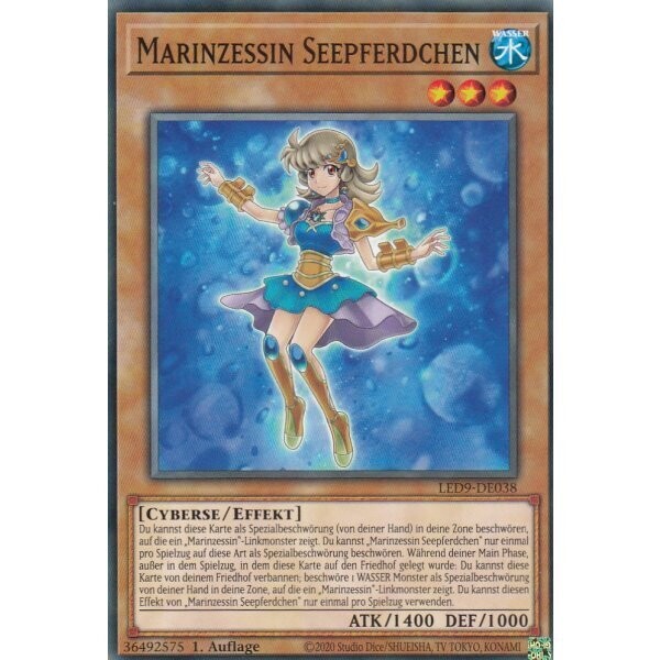 Marinzessin Seepferdchen (LED9)
