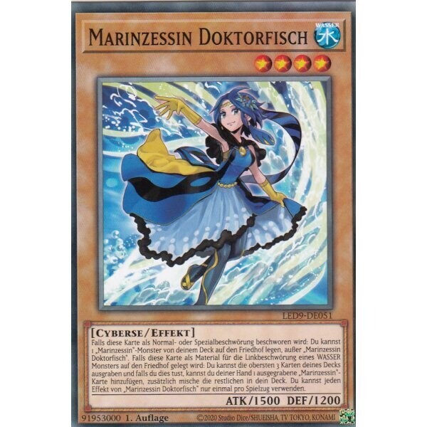Marinzessin Doktorfisch (LED9)