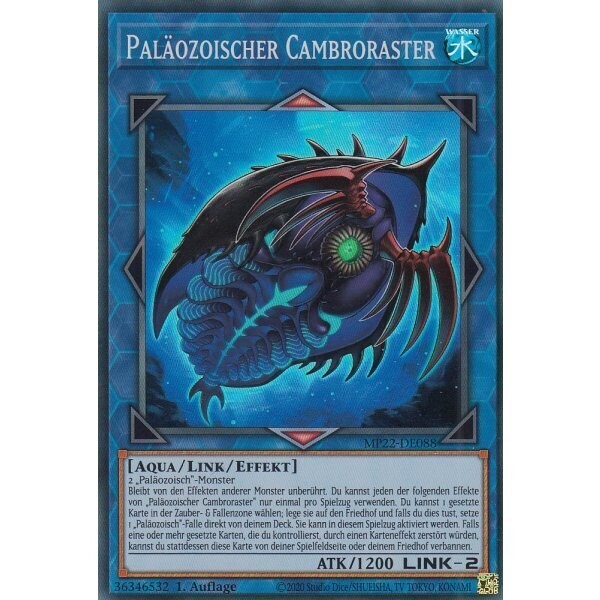 Paläozoischer Cambroraster (Super Rare - MP22)