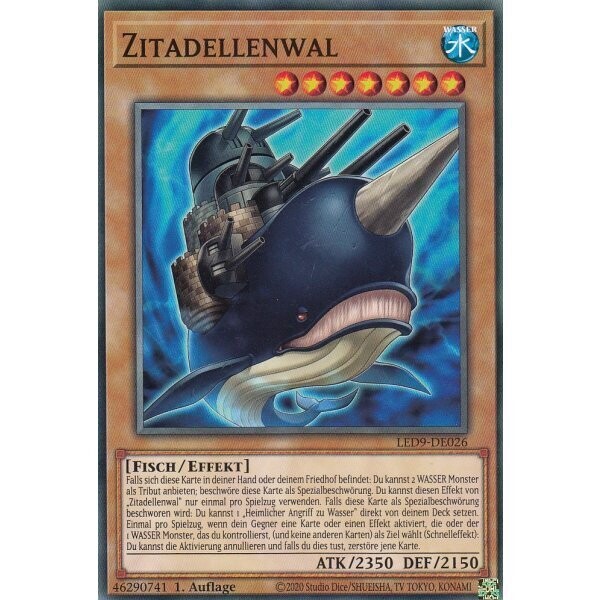 Zitadellenwal (LED9)