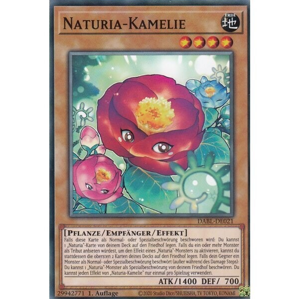 Naturia-Kamelie (DABL)