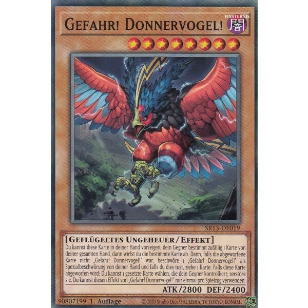 Gefahr! Donnervogel! (SR13)