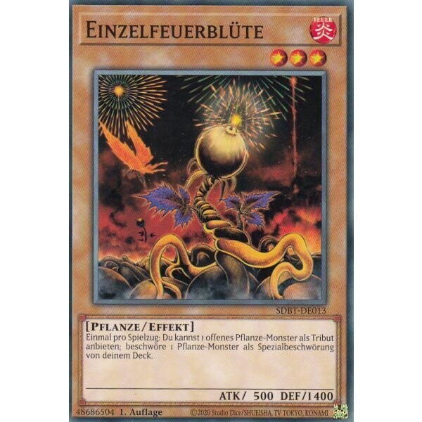 Einzelfeuerblüte (SDBT)