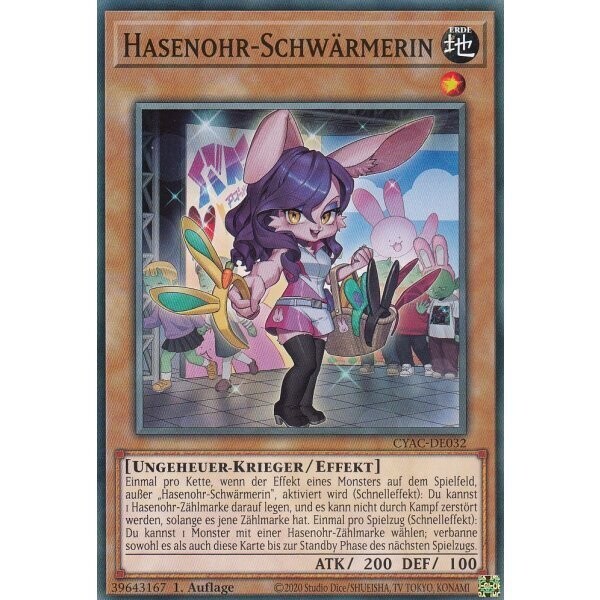 Hasenohr-Schwärmerin (CYAC)