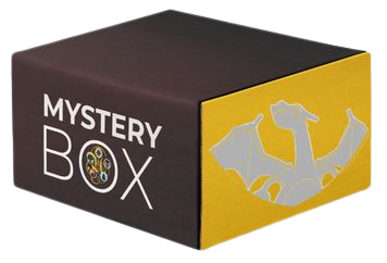 Pokémon - Charizard&#39;s Mystery Box - EN