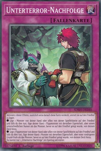 Unterterror-Nachfolge (SDSH)