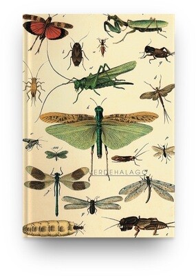[023] Libreta insectos voladores