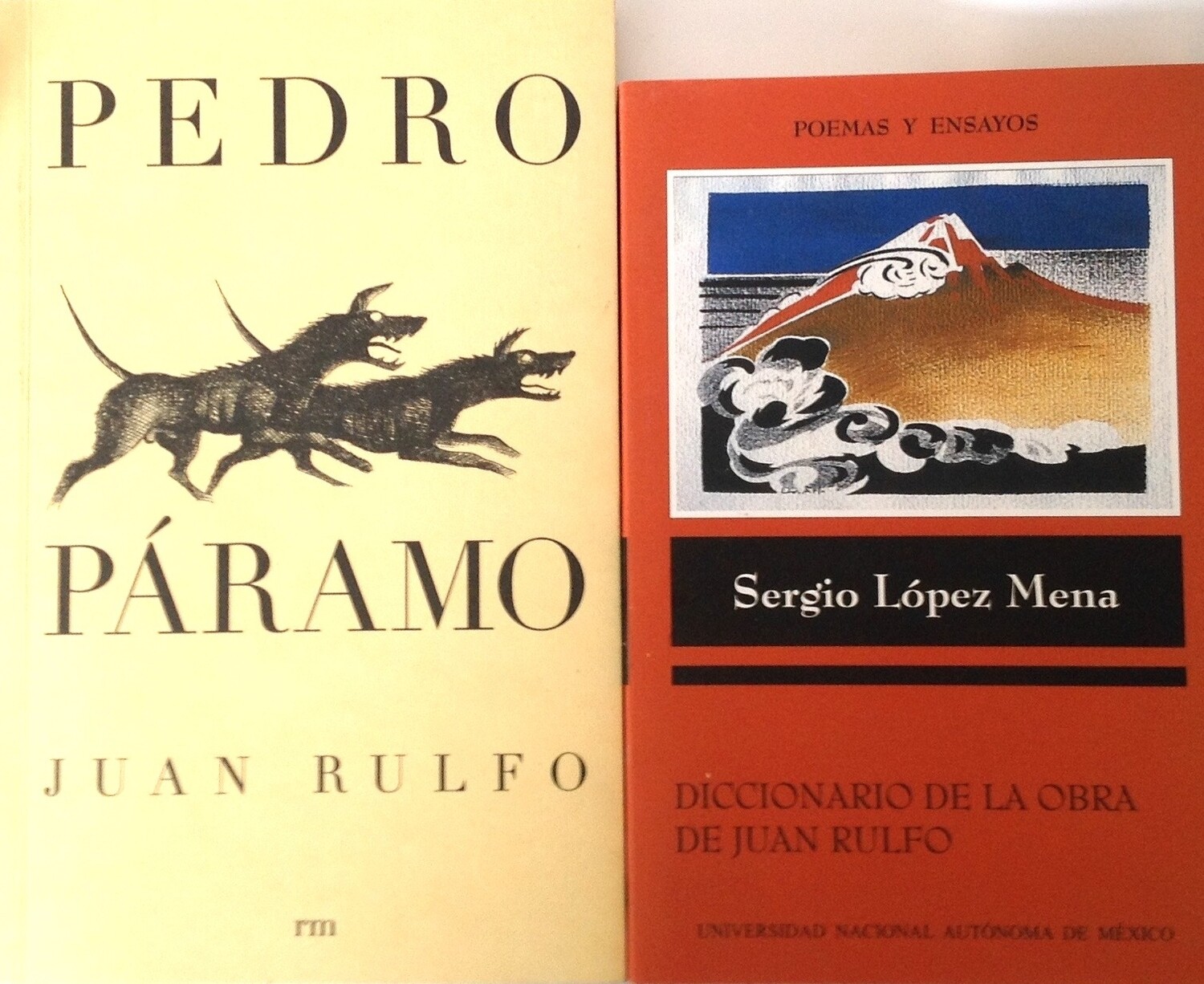 Juan Rulfo, Pedro Páramo. Edición RM. Sergio López Mena, Diccionario de