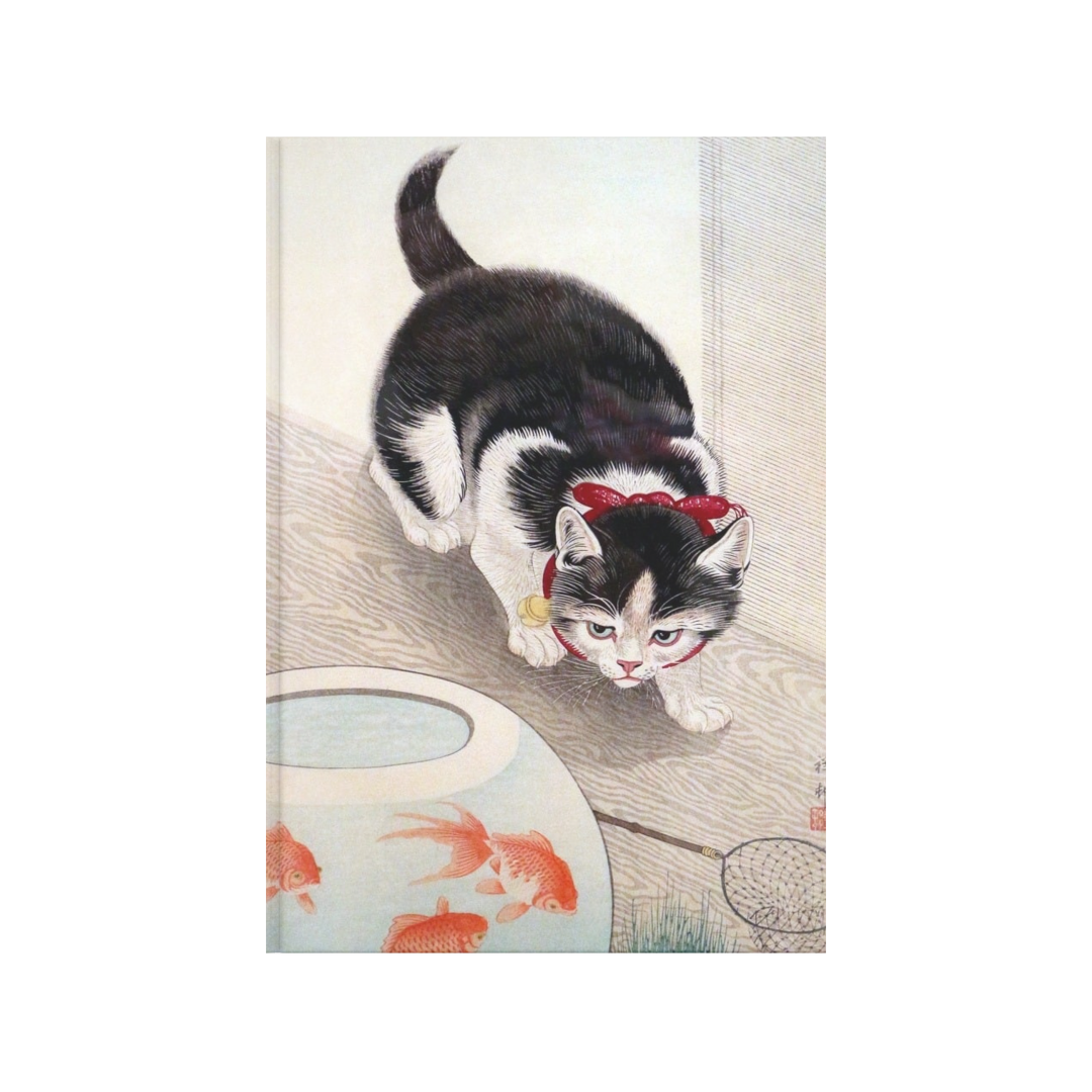 Gato y peces de colores