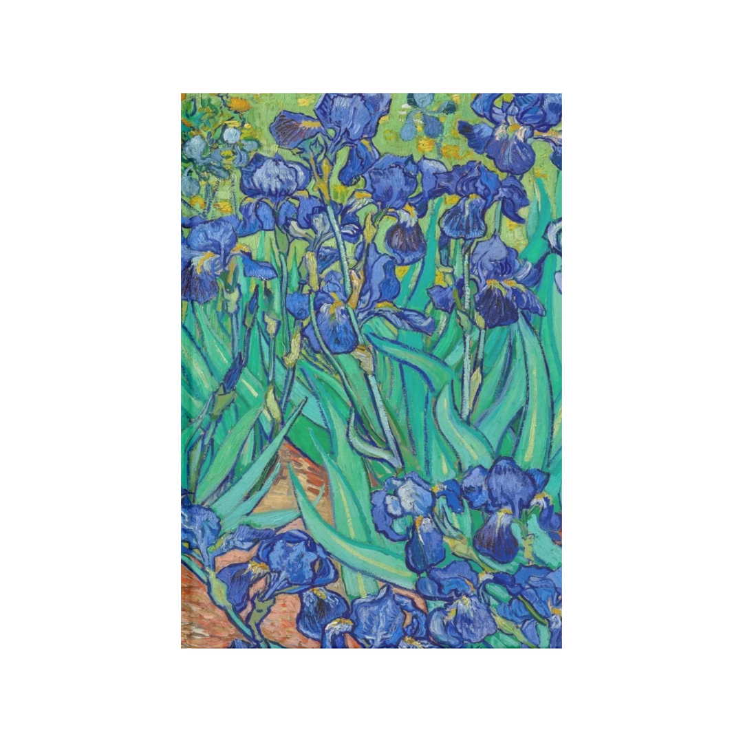Lirios azules