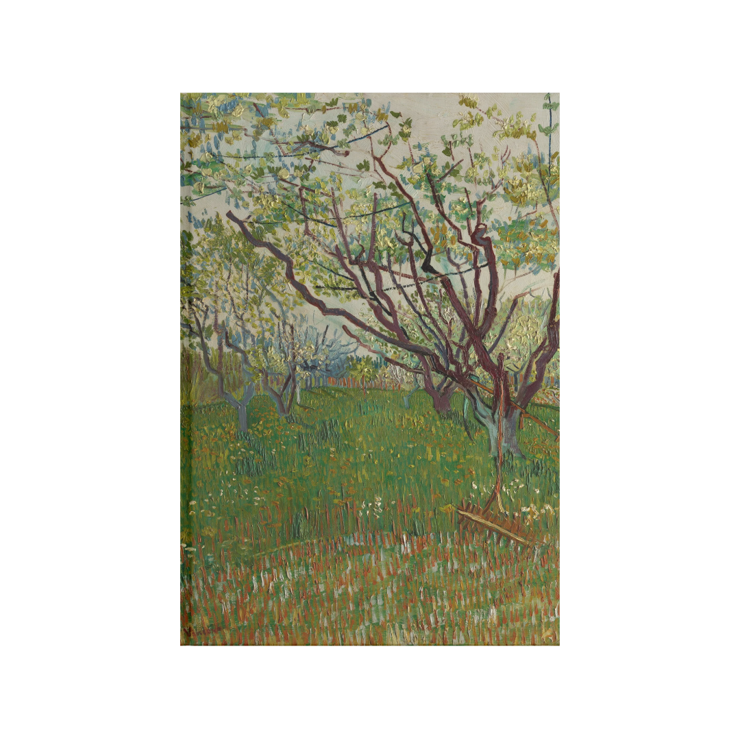 Huerto florido