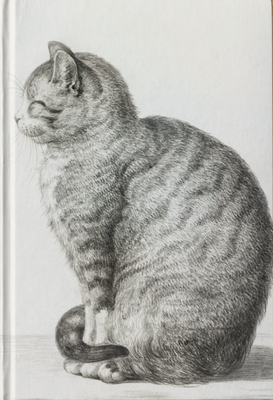 Gato de perfil