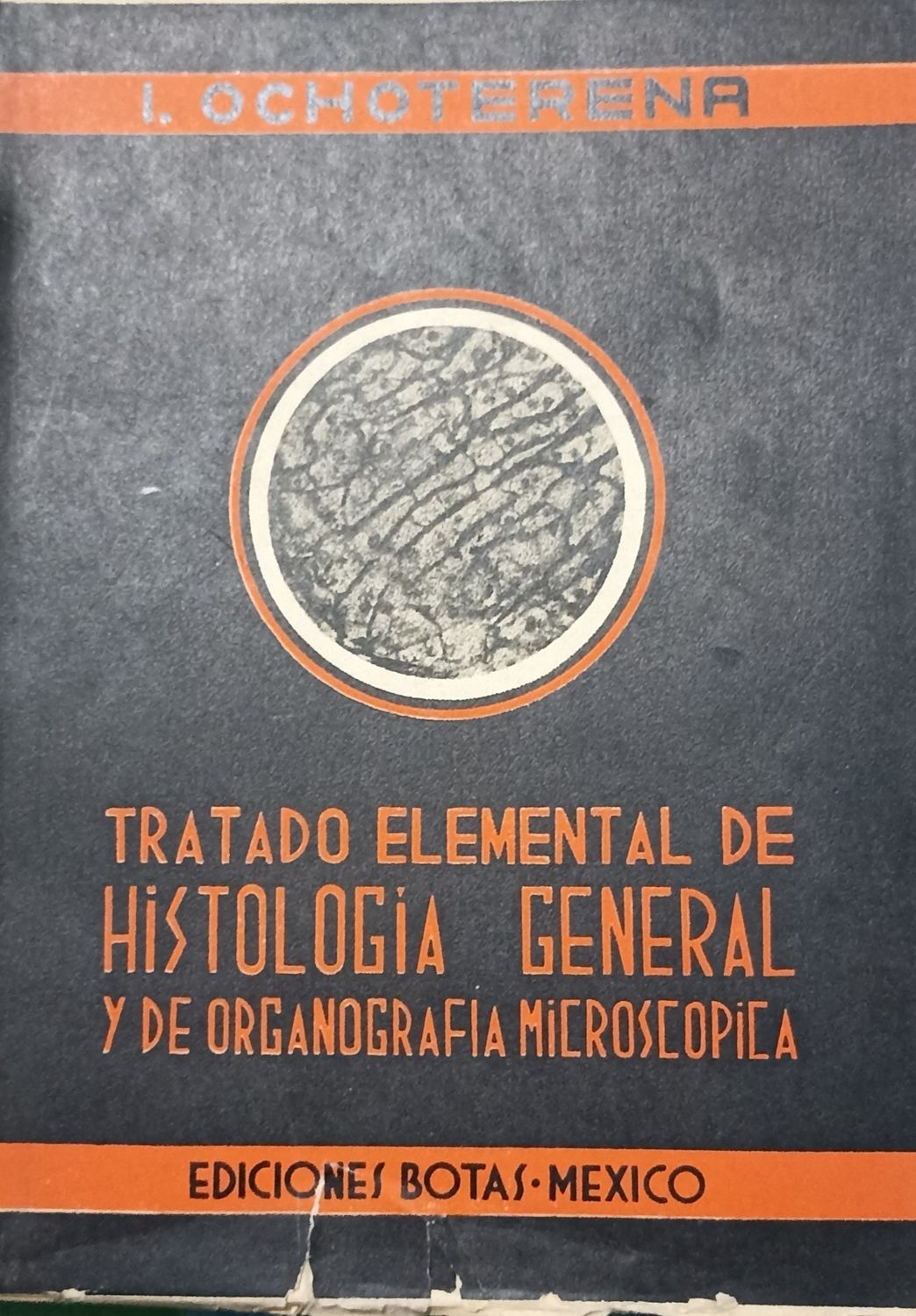 Ochoterena, Histología general