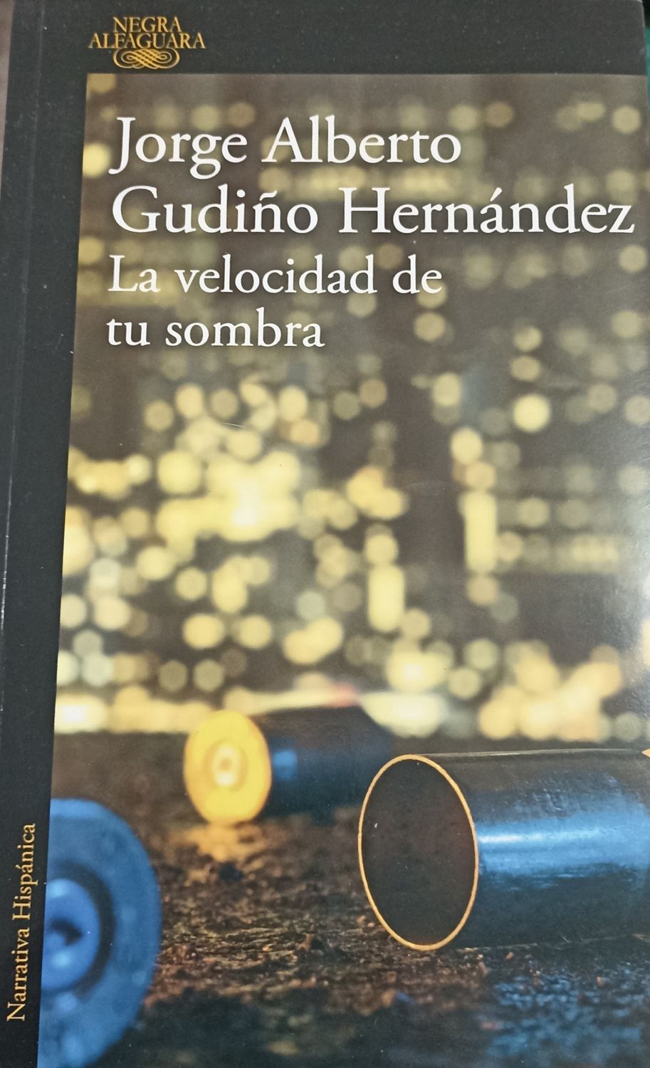 Jorge Alberto Gudiño Hernández, La velocidad de tu sombra