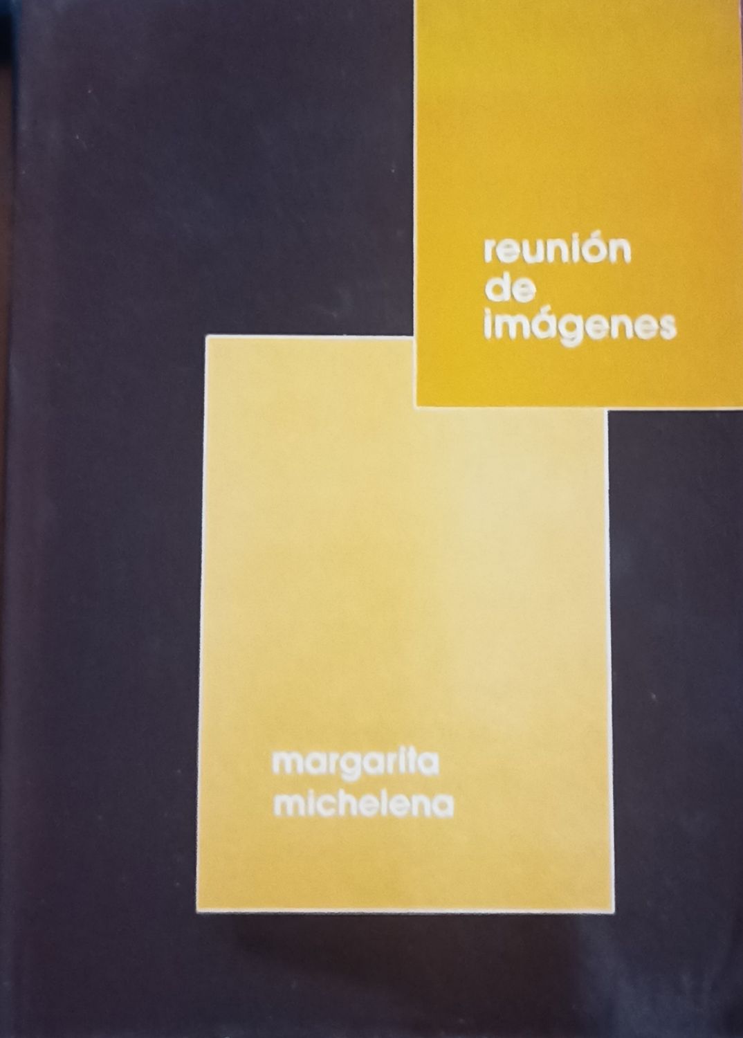 Margarita Michelena, Reunión de imágenes
