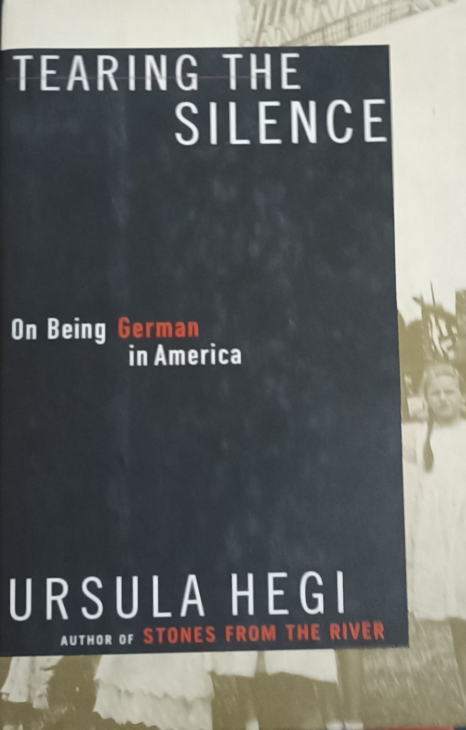Ursula Hegi, On being German in America