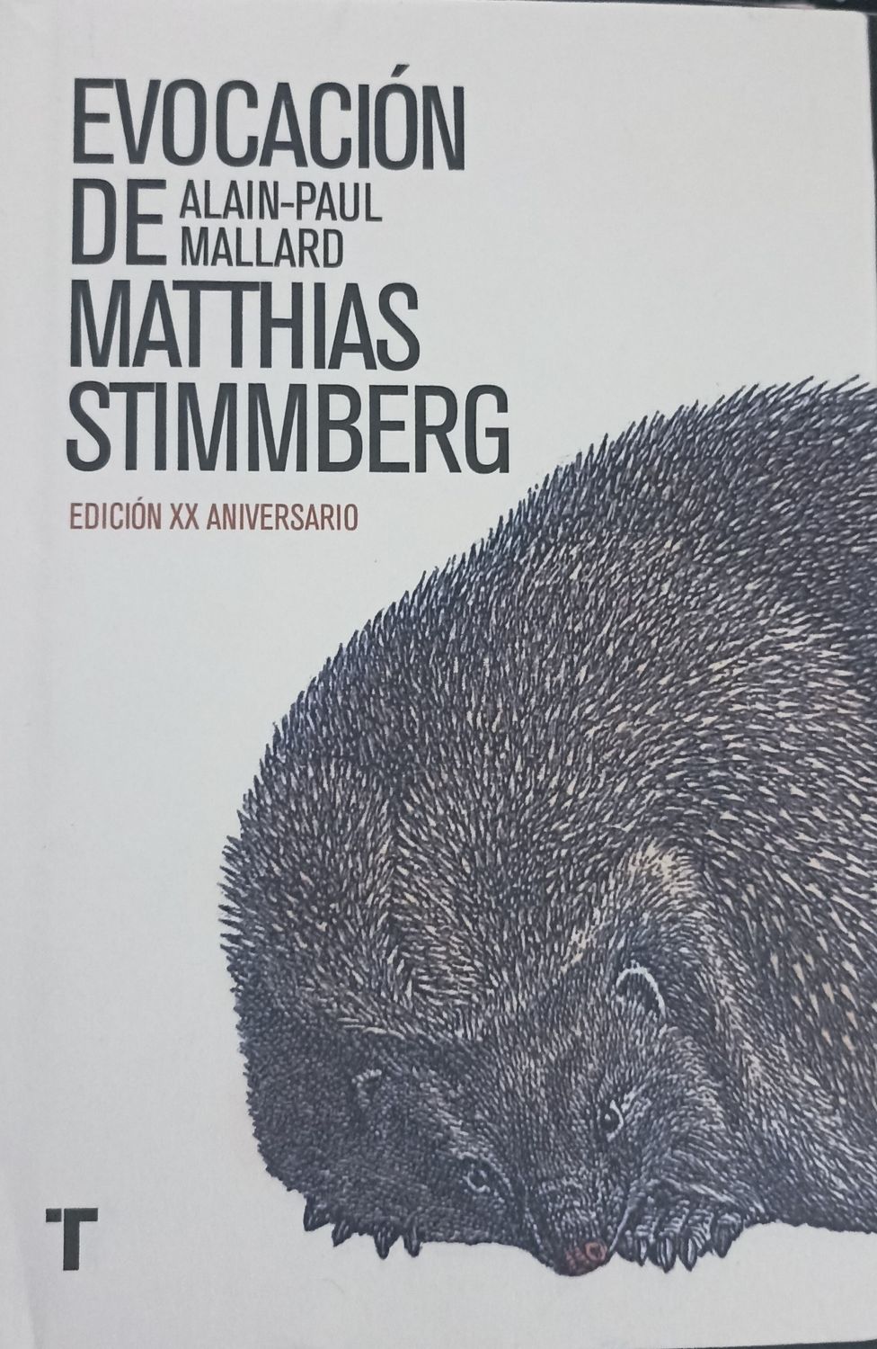 Alain-Paul Mallard, Evocación de Matthias Sttimberg