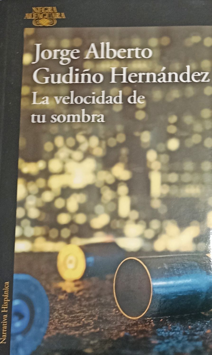 Jorge Alberto Gudiño Hernández, La velocidad de tu sombra