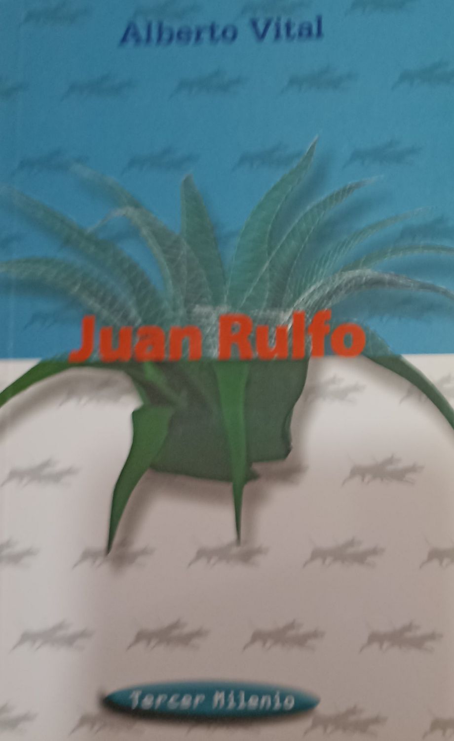 Alberto Vital, Juan Rulfo