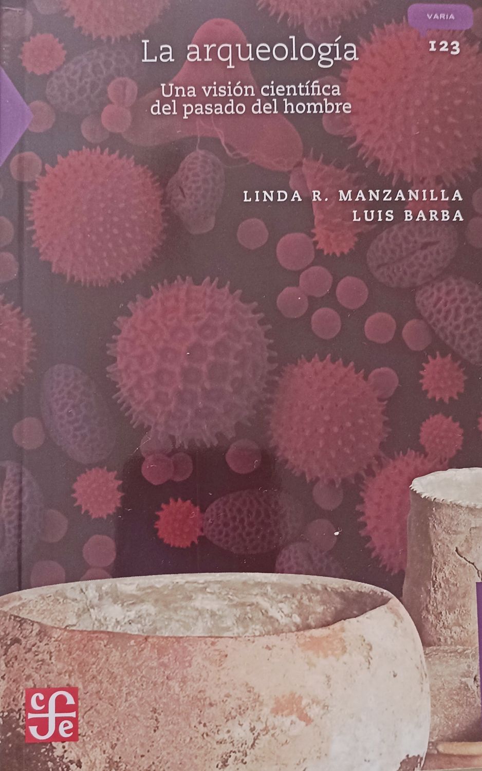 Linda Manzanilla, La arqueología