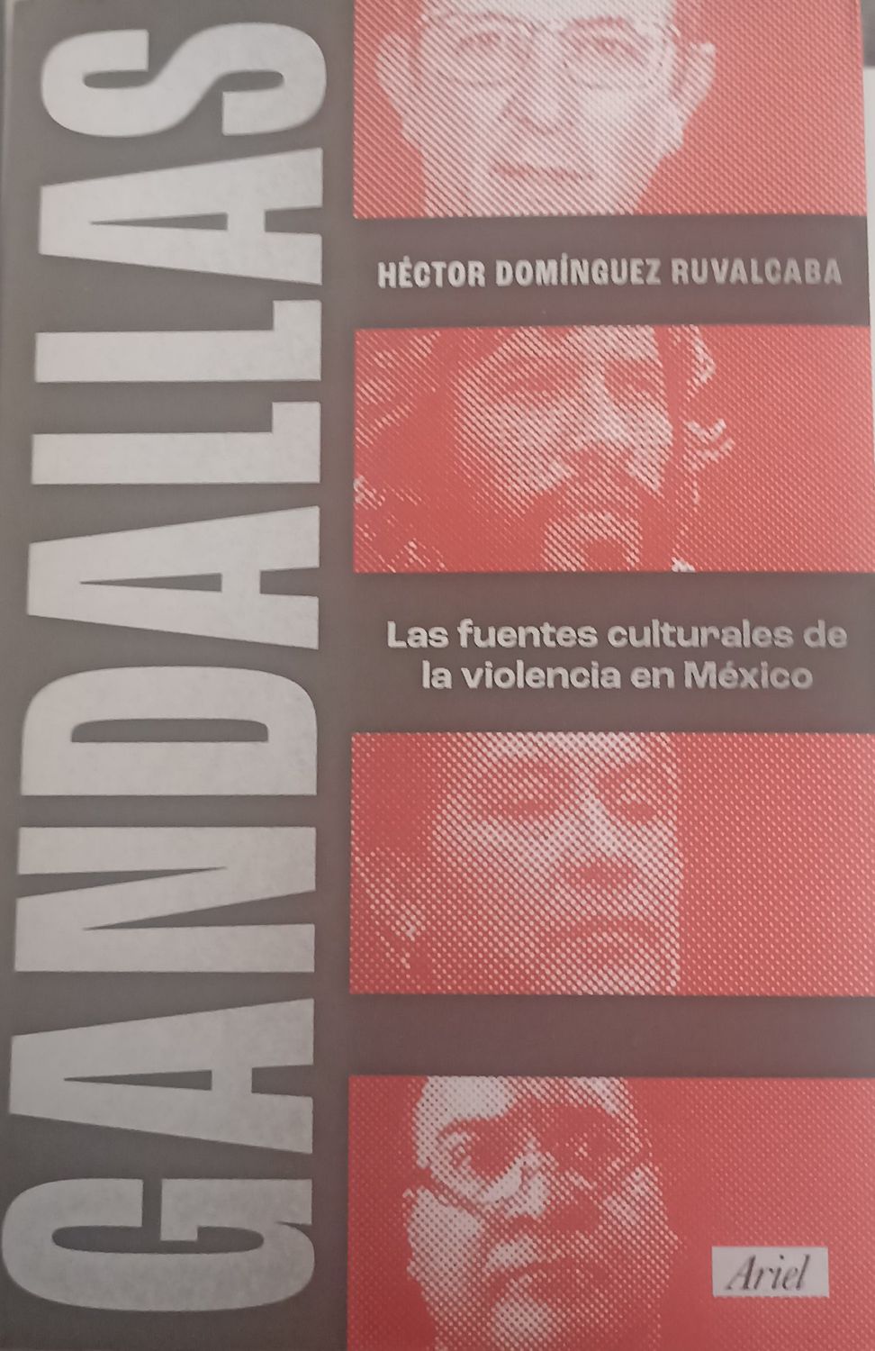 Héctor Domínguez Ruvalcaba, Gandallas
