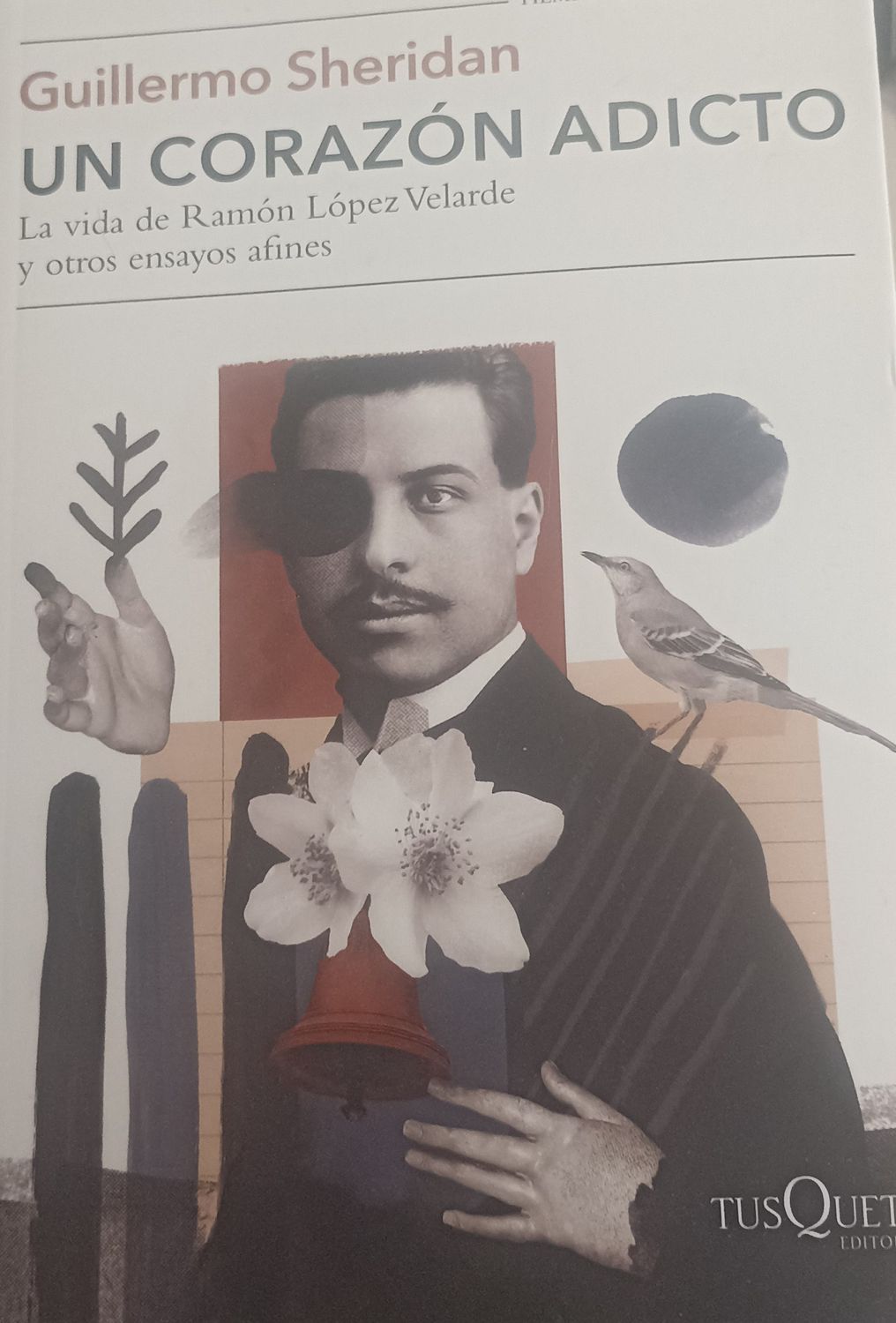 Guillermo Sheridan, La vida de Ramón López Velarde