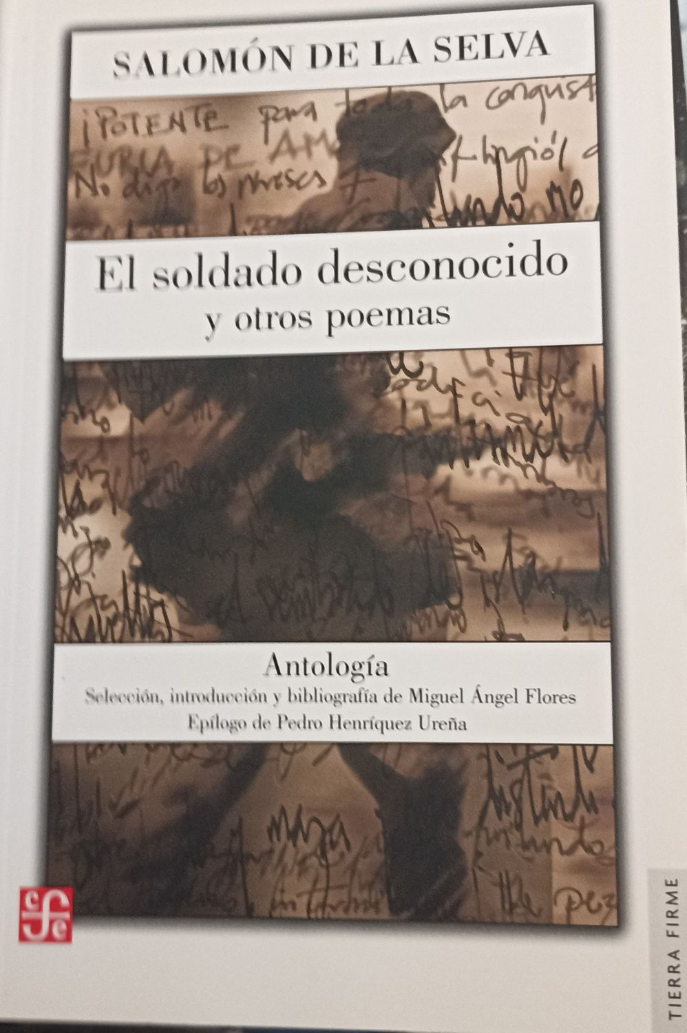 Salomón de la Selva, El soldado desconocido y otros poemas