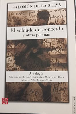 Salomón de la Selva, El soldado desconocido y otros poemas