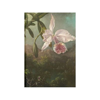{071} Orquídea