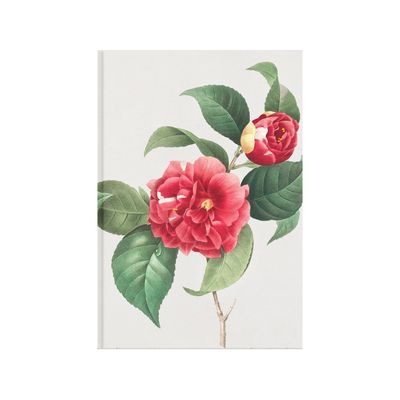 {097} Rosas Redouté