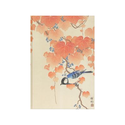 {029} Carbonero en rama de paulonia