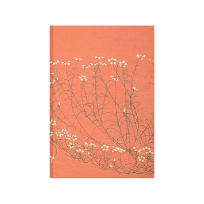 {041} Diario de dibujo